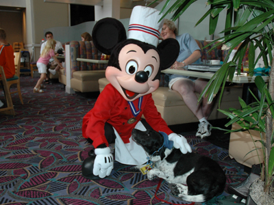 chef mickey 102.jpg